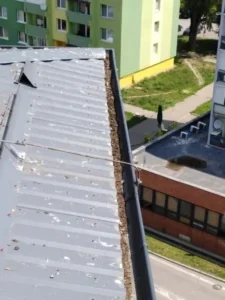 Čistenie rín Levice